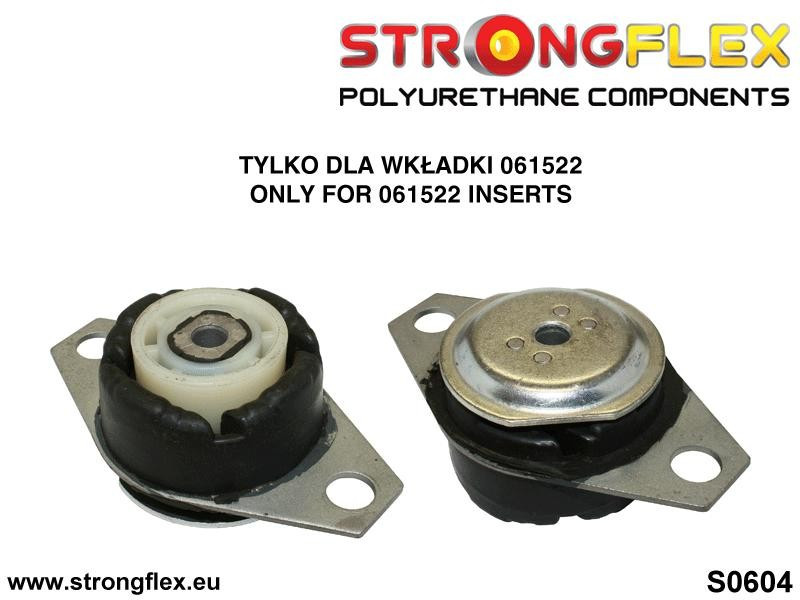 Motor mount inserts