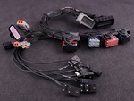 Plug in engine harness