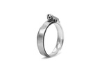 Hose clamp with inner ring