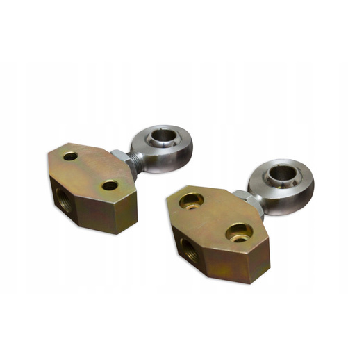 BMW E46, E85, E86 Adjustable control arm mounts ''lollipops'' Front