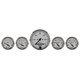 5 Pc. Gauge Kit, 3-1/8" & 2-1/16", Elec. Speedometer, American Platinum