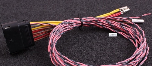 MaxxECU harness PWM module