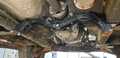 Gearbox mount BMW ZF 6vxl - Volvo 240